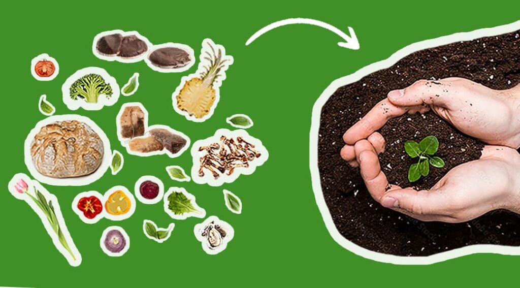 afbeelding van afval en compost